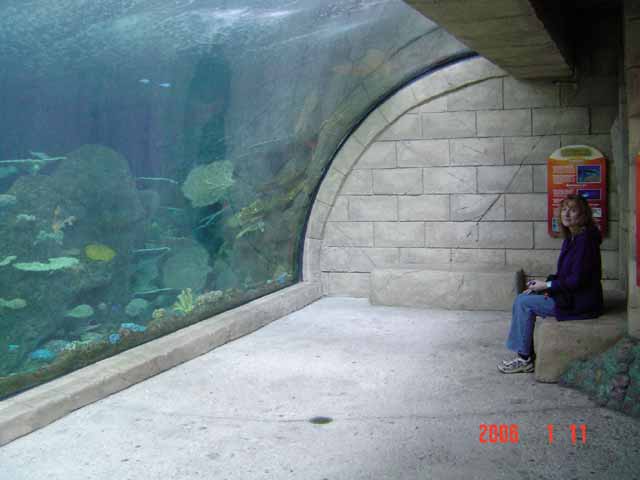 1093aquarium